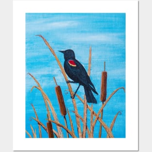 Red Winged Blackbird at the Pond Posters and Art